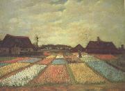 Vincent Van Gogh Bulb Fields (nn04) USA oil painting reproduction